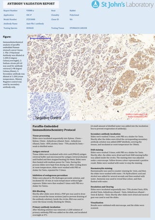 Figure:
Immunohistochemical
analysis of paraffin
embedded Human
stomach cancer tissue.
1: Flk-1 Polyclonal
Antibody was diluted at
1:200 (4 degree
Celsius,overnight). 2:
Sodium citrate pH 6.0
was used for antibody
retrieval (>98 degree
Celsius,20min). 3:
Secondary antibody was
diluted at 1:200 (room
temperature, 30min).
Negative control was
used by secondary
antibody only.
Report Number 93088-a Host Rabbit
Application IHC-P Clonality Polyclonal
Model Number STJ93088 Clone ID NA
Antibody Name Anti-Flk-1 antibody
Testing Species HUMAN Testing Tissue STOMACH CANCER
ANTIBODY VALIDATION REPORT
a. (A small amount of distilled water was added into the incubation
box to prevent evaporation of antibody).
19. Secondary antibody incubation
a. Slides were washed 3 times, with PBS on a shaker for 5min.
Shortly after the slides were dried the corresponding secondary
antibody solution was added (HRP labelled), covering the
tissues, and incubated at room temperature for 30min.
b.
20. DAB staining
a. Slides were washed 3 times, with PBS on a shaker for 5min.
b. Shortly after, the slides were dried and fresh DAB staining buffer
was added inside the circles. The staining time was adjusted
under a microscope. Yellow-brown colour represented a positive
result. Slides were washed with water to stop the staining.
c.
21. Haematoxylin staining
a. Haematoxylin was used to counter-staining for 1min, and then
the slides were washed with water. 1% Hydrochloric acid and
alcohol was added for several seconds and then washed with
water. Ammonia was used to reveal blue colour, and then
flushed with water.
b.
22. Desolation and Clearing
i. Slides were incubated sequentially into: 75% alcohol 5min, 85%
alcohol 5min, Anhydrous ethanol - 5min, Anhydrous ethanol -
5min & Xylene - 5min. Shortly after slides were dried and neutral
gum was used to seal the slides.
ii.
23. Visualization
a. Results were validated with microscope, and the slides were
scanned.
Paraffin-Embedded
Immunohistochemistry Protocol
13.
14. Tissue processing
a. Slides were incubated sequentially into Xylene; 15min –
Xylene, 15min - Anhydrous ethanol, 5min - Anhydrous
ethanol, 5min - 85% alcohol, 5min - 75% alcohol & 5min –
wash in distilled water.
b.
15. Antigen retrieval
a. Tissue slides were incubated with citric acid (PH6.0) antigen
retrieval buffer and microwaved for antigen retrieval (heated
until boiled and then stopped heating) for 8min. Slides were
then heated with medium power for 7min. During this
process slides were kept from drying out. After cooling down
at room temperature, slides were washed with PBS on
shaker for 5min, repeated for 3 times.
b.
16. Inhibition of endogenous peroxidase
a. Slides were placed in 3% Hydrogen peroxide solution, and
incubated for 10 min at room temperature without light
exposure. Slides were then washed 3 times with PBS on a
shaker for 5mins.
b.
17. BSA Blocking
a. Shortly after slides were dried, a PAP pen was used to draw
circles around the tissue sections (and to prevent draining of
the antibody solution). Inside the circles, BSA was used to
cover the tissue evenly, blocking for 30min.
b.
18. Primary antibody incubation
After blocking solution was removed a 1:200 solution of
primary antibody/PBS was added on the slide, and incubated
overnight at 4°C.
St John's Laboratory Ltd.
www.stjohnslabs.com
 