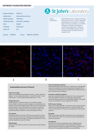 ANTIBODY VALIDATION REPORT
Report Number 93832-a
Application Immunofluorescence
Model Number STJ93832
Antibody Name Anti-Ki67 antibody
Host Rabbit
Clonality Polyclonal
Clone ID NA
Species HUMAN Tissue BREAST CANCER
Image
Description
Immunofluorescence analysis of Human
breast cancer tissue. 1: Ki-67 Polyclonal
Antibody(red) was diluted at 1:200 (4
degree Celsius,overnight). 2: Cy3 labled
Secondary antibody was diluted at
1:300 (room temperature, 50min).3:
Picture B: DAPI(blue) 10min. Picture
A:Target. Picture B: DAPI. Picture C:
merge of A+B.
Primary Antibody Incubation
After blocking solution was removed a 1:200 primary antibody/PBS
solution was added on the slide, and incubated overnight at 4°C (a
small amount of distilled water was added into the incubation box to
prevent evaporation of antibody).
Secondary Antibody Incubation
slides were washed with PBS on a shaker for 5min, and repeated 3
times. Shortly after the slides were dried and corresponding
secondary antibody solution was added (HRP labelled), covering the
tissues, and incubated at room temperature for 50min.
DAPI Counter-Staining
slides were washed with PBS on a shaker for 5min, repeated 3 times
and then dried. DAPI staining solution was added inside the PAP
circles and incubated for 10 min at room temperature without light
exposure.
Mounting
Slides were washed with PBS on a shaker for 5min, and repeated 3
times. Shortly after slides were dried, anti-quench mountings were
used to mount slides.
Visualization
The slides were observed and placed under a NIKON inverted
fluorescence microscope (Ultra violet excitation 330-380nm,
emission 420nm; FITC green excitation 465-495nm, emission 515-
555 nm; CY3 red excitation 510-560nm, emission 590nm)
Immunofluorescence Protocol
Tissue Processing
Slides were incubated sequentially into: Xylene - 15min, Anhydrous
ethanol – 15 min, Anhydrous ethanol – 5 min, 85% alcohol – 5 min,
75% alcohol – 5 min & washed with distilled water – 5 min.
Antigen Retrieval
Tissue slides were incubated with citric acid (PH6.0) antigen
retrieval buffer, and microwaved for antigen retrieval (heated until
boiled and then stop heating) for 8min. Slides were then heated with
medium power for 7min. During this process slides are kept from
drying out. After cooling down at room temperature, slides were
washed with PBS on a shaker for 5min, and repeated 3 times.
Anti-Quench
shortly after slides were dried, a PAP pen was used to draw circles
around the tissues (to prevent draining of the antibody). Inside the
circles, anti-quench mountings were added and incubated for 5 min,
and then flushed with water for 10min.
BSA Blocking
Inside the circles, BSA was used to cover the tissue evenly, blocking
for 30min.
 