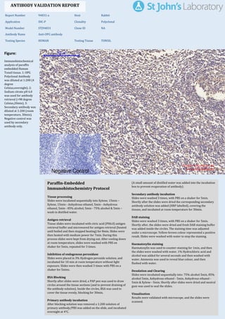 Figure:
Immunohistochemical
analysis of paraffin
embedded Human
Tonsil tissue. 1: OPG
Polyclonal Antibody
was diluted at 1:200 (4
degree
Celsius,overnight). 2:
Sodium citrate pH 6.0
was used for antibody
retrieval (>98 degree
Celsius,20min). 3:
Secondary antibody was
diluted at 1:200 (room
temperature, 30min).
Negative control was
used by secondary
antibody only.
Report Number 94831-a Host Rabbit
Application IHC-P Clonality Polyclonal
Model Number STJ94831 Clone ID NA
Antibody Name Anti-OPG antibody
Testing Species HUMAN Testing Tissue TONSIL
ANTIBODY VALIDATION REPORT
a. (A small amount of distilled water was added into the incubation
box to prevent evaporation of antibody).
62. Secondary antibody incubation
a. Slides were washed 3 times, with PBS on a shaker for 5min.
Shortly after the slides were dried the corresponding secondary
antibody solution was added (HRP labelled), covering the
tissues, and incubated at room temperature for 30min.
b.
63. DAB staining
a. Slides were washed 3 times, with PBS on a shaker for 5min.
b. Shortly after, the slides were dried and fresh DAB staining buffer
was added inside the circles. The staining time was adjusted
under a microscope. Yellow-brown colour represented a positive
result. Slides were washed with water to stop the staining.
c.
64. Haematoxylin staining
a. Haematoxylin was used to counter-staining for 1min, and then
the slides were washed with water. 1% Hydrochloric acid and
alcohol was added for several seconds and then washed with
water. Ammonia was used to reveal blue colour, and then
flushed with water.
b.
65. Desolation and Clearing
i. Slides were incubated sequentially into: 75% alcohol 5min, 85%
alcohol 5min, Anhydrous ethanol - 5min, Anhydrous ethanol -
5min & Xylene - 5min. Shortly after slides were dried and neutral
gum was used to seal the slides.
ii.
66. Visualization
a. Results were validated with microscope, and the slides were
scanned.
Paraffin-Embedded
Immunohistochemistry Protocol
56.
57. Tissue processing
a. Slides were incubated sequentially into Xylene; 15min –
Xylene, 15min - Anhydrous ethanol, 5min - Anhydrous
ethanol, 5min - 85% alcohol, 5min - 75% alcohol & 5min –
wash in distilled water.
b.
58. Antigen retrieval
a. Tissue slides were incubated with citric acid (PH6.0) antigen
retrieval buffer and microwaved for antigen retrieval (heated
until boiled and then stopped heating) for 8min. Slides were
then heated with medium power for 7min. During this
process slides were kept from drying out. After cooling down
at room temperature, slides were washed with PBS on
shaker for 5min, repeated for 3 times.
b.
59. Inhibition of endogenous peroxidase
a. Slides were placed in 3% Hydrogen peroxide solution, and
incubated for 10 min at room temperature without light
exposure. Slides were then washed 3 times with PBS on a
shaker for 5mins.
b.
60. BSA Blocking
a. Shortly after slides were dried, a PAP pen was used to draw
circles around the tissue sections (and to prevent draining of
the antibody solution). Inside the circles, BSA was used to
cover the tissue evenly, blocking for 30min.
b.
61. Primary antibody incubation
After blocking solution was removed a 1:200 solution of
primary antibody/PBS was added on the slide, and incubated
overnight at 4°C.
St John's Laboratory Ltd.
www.stjohnslabs.com
 