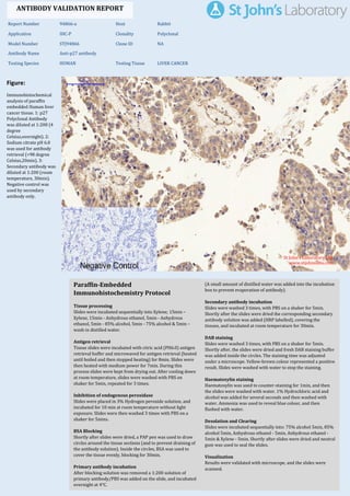 Figure:
Immunohistochemical
analysis of paraffin
embedded Human liver
cancer tissue. 1: p27
Polyclonal Antibody
was diluted at 1:200 (4
degree
Celsius,overnight). 2:
Sodium citrate pH 6.0
was used for antibody
retrieval (>98 degree
Celsius,20min). 3:
Secondary antibody was
diluted at 1:200 (room
temperature, 30min).
Negative control was
used by secondary
antibody only.
Report Number 94866-a Host Rabbit
Application IHC-P Clonality Polyclonal
Model Number STJ94866 Clone ID NA
Antibody Name Anti-p27 antibody
Testing Species HUMAN Testing Tissue LIVER CANCER
ANTIBODY VALIDATION REPORT
b. (A small amount of distilled water was added into the incubation
box to prevent evaporation of antibody).
19. Secondary antibody incubation
a. Slides were washed 3 times, with PBS on a shaker for 5min.
Shortly after the slides were dried the corresponding secondary
antibody solution was added (HRP labelled), covering the
tissues, and incubated at room temperature for 30min.
b.
20. DAB staining
a. Slides were washed 3 times, with PBS on a shaker for 5min.
b. Shortly after, the slides were dried and fresh DAB staining buffer
was added inside the circles. The staining time was adjusted
under a microscope. Yellow-brown colour represented a positive
result. Slides were washed with water to stop the staining.
c.
21. Haematoxylin staining
a. Haematoxylin was used to counter-staining for 1min, and then
the slides were washed with water. 1% Hydrochloric acid and
alcohol was added for several seconds and then washed with
water. Ammonia was used to reveal blue colour, and then
flushed with water.
b.
22. Desolation and Clearing
i. Slides were incubated sequentially into: 75% alcohol 5min, 85%
alcohol 5min, Anhydrous ethanol - 5min, Anhydrous ethanol -
5min & Xylene - 5min. Shortly after slides were dried and neutral
gum was used to seal the slides.
ii.
23. Visualization
a. Results were validated with microscope, and the slides were
scanned.
Paraffin-Embedded
Immunohistochemistry Protocol
13.
14. Tissue processing
a. Slides were incubated sequentially into Xylene; 15min –
Xylene, 15min - Anhydrous ethanol, 5min - Anhydrous
ethanol, 5min - 85% alcohol, 5min - 75% alcohol & 5min –
wash in distilled water.
b.
15. Antigen retrieval
a. Tissue slides were incubated with citric acid (PH6.0) antigen
retrieval buffer and microwaved for antigen retrieval (heated
until boiled and then stopped heating) for 8min. Slides were
then heated with medium power for 7min. During this
process slides were kept from drying out. After cooling down
at room temperature, slides were washed with PBS on
shaker for 5min, repeated for 3 times.
b.
16. Inhibition of endogenous peroxidase
a. Slides were placed in 3% Hydrogen peroxide solution, and
incubated for 10 min at room temperature without light
exposure. Slides were then washed 3 times with PBS on a
shaker for 5mins.
b.
17. BSA Blocking
a. Shortly after slides were dried, a PAP pen was used to draw
circles around the tissue sections (and to prevent draining of
the antibody solution). Inside the circles, BSA was used to
cover the tissue evenly, blocking for 30min.
b.
18. Primary antibody incubation
After blocking solution was removed a 1:200 solution of
primary antibody/PBS was added on the slide, and incubated
overnight at 4°C.
St John's Laboratory Ltd.
www.stjohnslabs.com
 