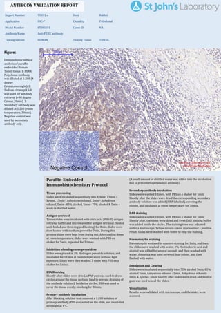 Figure:
Immunohistochemical
analysis of paraffin
embedded Human
Tonsil tissue. 1: PERK
Polyclonal Antibody
was diluted at 1:200 (4
degree
Celsius,overnight). 2:
Sodium citrate pH 6.0
was used for antibody
retrieval (>98 degree
Celsius,20min). 3:
Secondary antibody was
diluted at 1:200 (room
temperature, 30min).
Negative control was
used by secondary
antibody only.
Report Number 95031-a Host Rabbit
Application IHC-P Clonality Polyclonal
Model Number STJ95031 Clone ID NA
Antibody Name Anti-PERK antibody
Testing Species HUMAN Testing Tissue TONSIL
ANTIBODY VALIDATION REPORT
b. (A small amount of distilled water was added into the incubation
box to prevent evaporation of antibody).
40. Secondary antibody incubation
a. Slides were washed 3 times, with PBS on a shaker for 5min.
Shortly after the slides were dried the corresponding secondary
antibody solution was added (HRP labelled), covering the
tissues, and incubated at room temperature for 30min.
b.
41. DAB staining
a. Slides were washed 3 times, with PBS on a shaker for 5min.
b. Shortly after, the slides were dried and fresh DAB staining buffer
was added inside the circles. The staining time was adjusted
under a microscope. Yellow-brown colour represented a positive
result. Slides were washed with water to stop the staining.
c.
42. Haematoxylin staining
a. Haematoxylin was used to counter-staining for 1min, and then
the slides were washed with water. 1% Hydrochloric acid and
alcohol was added for several seconds and then washed with
water. Ammonia was used to reveal blue colour, and then
flushed with water.
b.
43. Desolation and Clearing
i. Slides were incubated sequentially into: 75% alcohol 5min, 85%
alcohol 5min, Anhydrous ethanol - 5min, Anhydrous ethanol -
5min & Xylene - 5min. Shortly after slides were dried and neutral
gum was used to seal the slides.
ii.
44. Visualization
a. Results were validated with microscope, and the slides were
scanned.
Paraffin-Embedded
Immunohistochemistry Protocol
34.
35. Tissue processing
a. Slides were incubated sequentially into Xylene; 15min –
Xylene, 15min - Anhydrous ethanol, 5min - Anhydrous
ethanol, 5min - 85% alcohol, 5min - 75% alcohol & 5min –
wash in distilled water.
b.
36. Antigen retrieval
a. Tissue slides were incubated with citric acid (PH6.0) antigen
retrieval buffer and microwaved for antigen retrieval (heated
until boiled and then stopped heating) for 8min. Slides were
then heated with medium power for 7min. During this
process slides were kept from drying out. After cooling down
at room temperature, slides were washed with PBS on
shaker for 5min, repeated for 3 times.
b.
37. Inhibition of endogenous peroxidase
a. Slides were placed in 3% Hydrogen peroxide solution, and
incubated for 10 min at room temperature without light
exposure. Slides were then washed 3 times with PBS on a
shaker for 5mins.
b.
38. BSA Blocking
a. Shortly after slides were dried, a PAP pen was used to draw
circles around the tissue sections (and to prevent draining of
the antibody solution). Inside the circles, BSA was used to
cover the tissue evenly, blocking for 30min.
b.
39. Primary antibody incubation
After blocking solution was removed a 1:200 solution of
primary antibody/PBS was added on the slide, and incubated
overnight at 4°C.
St John's Laboratory Ltd.
www.stjohnslabs.com
 