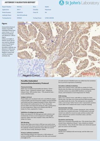 Figure:
Immunohistochemical
analysis of paraffin
embedded Human liver
cancer tissue. 1: IL-8
Polyclonal Antibody
was diluted at 1:200 (4
degree
Celsius,overnight). 2:
Sodium citrate pH 6.0
was used for antibody
retrieval (>98 degree
Celsius,20min). 3:
Secondary antibody was
diluted at 1:200 (room
temperature, 30min).
Negative control was
used by secondary
antibody only.
Report Number 96518-a Host Rabbit
Application IHC-P Clonality Polyclonal
Model Number STJ96518 Clone ID NA
Antibody Name Anti-IL8 antibody
Testing Species HUMAN Testing Tissue LIVER CANCER
ANTIBODY VALIDATION REPORT
a. (A small amount of distilled water was added into the incubation
box to prevent evaporation of antibody).
19. Secondary antibody incubation
a. Slides were washed 3 times, with PBS on a shaker for 5min.
Shortly after the slides were dried the corresponding secondary
antibody solution was added (HRP labelled), covering the
tissues, and incubated at room temperature for 30min.
b.
20. DAB staining
a. Slides were washed 3 times, with PBS on a shaker for 5min.
b. Shortly after, the slides were dried and fresh DAB staining buffer
was added inside the circles. The staining time was adjusted
under a microscope. Yellow-brown colour represented a positive
result. Slides were washed with water to stop the staining.
c.
21. Haematoxylin staining
a. Haematoxylin was used to counter-staining for 1min, and then
the slides were washed with water. 1% Hydrochloric acid and
alcohol was added for several seconds and then washed with
water. Ammonia was used to reveal blue colour, and then
flushed with water.
b.
22. Desolation and Clearing
i. Slides were incubated sequentially into: 75% alcohol 5min, 85%
alcohol 5min, Anhydrous ethanol - 5min, Anhydrous ethanol -
5min & Xylene - 5min. Shortly after slides were dried and neutral
gum was used to seal the slides.
ii.
23. Visualization
a. Results were validated with microscope, and the slides were
scanned.
Paraffin-Embedded
Immunohistochemistry Protocol
13.
14. Tissue processing
a. Slides were incubated sequentially into Xylene; 15min –
Xylene, 15min - Anhydrous ethanol, 5min - Anhydrous
ethanol, 5min - 85% alcohol, 5min - 75% alcohol & 5min –
wash in distilled water.
b.
15. Antigen retrieval
a. Tissue slides were incubated with citric acid (PH6.0) antigen
retrieval buffer and microwaved for antigen retrieval (heated
until boiled and then stopped heating) for 8min. Slides were
then heated with medium power for 7min. During this
process slides were kept from drying out. After cooling down
at room temperature, slides were washed with PBS on
shaker for 5min, repeated for 3 times.
b.
16. Inhibition of endogenous peroxidase
a. Slides were placed in 3% Hydrogen peroxide solution, and
incubated for 10 min at room temperature without light
exposure. Slides were then washed 3 times with PBS on a
shaker for 5mins.
b.
17. BSA Blocking
a. Shortly after slides were dried, a PAP pen was used to draw
circles around the tissue sections (and to prevent draining of
the antibody solution). Inside the circles, BSA was used to
cover the tissue evenly, blocking for 30min.
b.
18. Primary antibody incubation
After blocking solution was removed a 1:200 solution of
primary antibody/PBS was added on the slide, and incubated
overnight at 4°C.
St John's Laboratory Ltd.
www.stjohnslabs.com
 