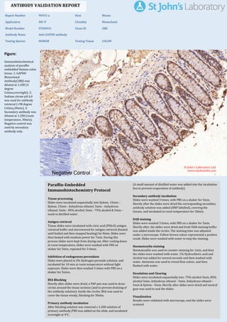 Figure:
Immunohistochemical
analysis of paraffin
embedded Human colon
tissue. 1: GAPDH
Monoclonal
Antibody(2B8) was
diluted at 1:200 (4
degree
Celsius,overnight). 2:
Sodium citrate pH 6.0
was used for antibody
retrieval (>98 degree
Celsius,20min). 3:
Secondary antibody was
diluted at 1:200 (room
temperature, 30min).
Negative control was
used by secondary
antibody only.
Report Number 96931-a Host Mouse
Application IHC-P Clonality Monoclonal
Model Number STJ96931 Clone ID 2B8
Antibody Name Anti-GAPDH antibody
Testing Species HUMAN Testing Tissue COLON
ANTIBODY VALIDATION REPORT
b. (A small amount of distilled water was added into the incubation
box to prevent evaporation of antibody).
40. Secondary antibody incubation
a. Slides were washed 3 times, with PBS on a shaker for 5min.
Shortly after the slides were dried the corresponding secondary
antibody solution was added (HRP labelled), covering the
tissues, and incubated at room temperature for 30min.
b.
41. DAB staining
a. Slides were washed 3 times, with PBS on a shaker for 5min.
b. Shortly after, the slides were dried and fresh DAB staining buffer
was added inside the circles. The staining time was adjusted
under a microscope. Yellow-brown colour represented a positive
result. Slides were washed with water to stop the staining.
c.
42. Haematoxylin staining
a. Haematoxylin was used to counter-staining for 1min, and then
the slides were washed with water. 1% Hydrochloric acid and
alcohol was added for several seconds and then washed with
water. Ammonia was used to reveal blue colour, and then
flushed with water.
b.
43. Desolation and Clearing
i. Slides were incubated sequentially into: 75% alcohol 5min, 85%
alcohol 5min, Anhydrous ethanol - 5min, Anhydrous ethanol -
5min & Xylene - 5min. Shortly after slides were dried and neutral
gum was used to seal the slides.
ii.
44. Visualization
a. Results were validated with microscope, and the slides were
scanned.
Paraffin-Embedded
Immunohistochemistry Protocol
34.
35. Tissue processing
a. Slides were incubated sequentially into Xylene; 15min –
Xylene, 15min - Anhydrous ethanol, 5min - Anhydrous
ethanol, 5min - 85% alcohol, 5min - 75% alcohol & 5min –
wash in distilled water.
b.
36. Antigen retrieval
a. Tissue slides were incubated with citric acid (PH6.0) antigen
retrieval buffer and microwaved for antigen retrieval (heated
until boiled and then stopped heating) for 8min. Slides were
then heated with medium power for 7min. During this
process slides were kept from drying out. After cooling down
at room temperature, slides were washed with PBS on
shaker for 5min, repeated for 3 times.
b.
37. Inhibition of endogenous peroxidase
a. Slides were placed in 3% Hydrogen peroxide solution, and
incubated for 10 min at room temperature without light
exposure. Slides were then washed 3 times with PBS on a
shaker for 5mins.
b.
38. BSA Blocking
a. Shortly after slides were dried, a PAP pen was used to draw
circles around the tissue sections (and to prevent draining of
the antibody solution). Inside the circles, BSA was used to
cover the tissue evenly, blocking for 30min.
b.
39. Primary antibody incubation
After blocking solution was removed a 1:200 solution of
primary antibody/PBS was added on the slide, and incubated
overnight at 4°C.
St John's Laboratory Ltd.
www.stjohnslabs.com
 