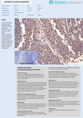 Figure:
Immunohistochemical
analysis of paraffin
embedded Human
Tonsil tissue. 1: HER2
Monoclonal
Antibody(11H9) was
diluted at 1:200 (4
degree
Celsius,overnight). 2:
Sodium citrate pH 6.0
was used for antibody
retrieval (>98 degree
Celsius,20min). 3:
Secondary antibody was
diluted at 1:200 (room
temperature, 30min).
Negative control was
used by secondary
antibody only.
Report Number 96947-a Host Mouse
Application IHC-P Clonality Monoclonal
Model Number STJ96947 Clone ID 11H9
Antibody Name Anti-HER2 antibody
Testing Species HUMAN Testing Tissue TONSIL
ANTIBODY VALIDATION REPORT
b. (A small amount of distilled water was added into the incubation
box to prevent evaporation of antibody).
63. Secondary antibody incubation
a. Slides were washed 3 times, with PBS on a shaker for 5min.
Shortly after the slides were dried the corresponding secondary
antibody solution was added (HRP labelled), covering the
tissues, and incubated at room temperature for 30min.
b.
64. DAB staining
a. Slides were washed 3 times, with PBS on a shaker for 5min.
b. Shortly after, the slides were dried and fresh DAB staining buffer
was added inside the circles. The staining time was adjusted
under a microscope. Yellow-brown colour represented a positive
result. Slides were washed with water to stop the staining.
c.
65. Haematoxylin staining
a. Haematoxylin was used to counter-staining for 1min, and then
the slides were washed with water. 1% Hydrochloric acid and
alcohol was added for several seconds and then washed with
water. Ammonia was used to reveal blue colour, and then
flushed with water.
b.
66. Desolation and Clearing
i. Slides were incubated sequentially into: 75% alcohol 5min, 85%
alcohol 5min, Anhydrous ethanol - 5min, Anhydrous ethanol -
5min & Xylene - 5min. Shortly after slides were dried and neutral
gum was used to seal the slides.
ii.
67. Visualization
a. Results were validated with microscope, and the slides were
scanned.
Paraffin-Embedded
Immunohistochemistry Protocol
57.
58. Tissue processing
a. Slides were incubated sequentially into Xylene; 15min –
Xylene, 15min - Anhydrous ethanol, 5min - Anhydrous
ethanol, 5min - 85% alcohol, 5min - 75% alcohol & 5min –
wash in distilled water.
b.
59. Antigen retrieval
a. Tissue slides were incubated with citric acid (PH6.0) antigen
retrieval buffer and microwaved for antigen retrieval (heated
until boiled and then stopped heating) for 8min. Slides were
then heated with medium power for 7min. During this
process slides were kept from drying out. After cooling down
at room temperature, slides were washed with PBS on
shaker for 5min, repeated for 3 times.
b.
60. Inhibition of endogenous peroxidase
a. Slides were placed in 3% Hydrogen peroxide solution, and
incubated for 10 min at room temperature without light
exposure. Slides were then washed 3 times with PBS on a
shaker for 5mins.
b.
61. BSA Blocking
a. Shortly after slides were dried, a PAP pen was used to draw
circles around the tissue sections (and to prevent draining of
the antibody solution). Inside the circles, BSA was used to
cover the tissue evenly, blocking for 30min.
b.
62. Primary antibody incubation
After blocking solution was removed a 1:200 solution of
primary antibody/PBS was added on the slide, and incubated
overnight at 4°C.
St John's Laboratory Ltd.
www.stjohnslabs.com
 