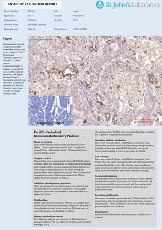 Figure:
Immunohistochemical
analysis of paraffin
embedded Human lung
cancer tissue. 1: CD45
Monoclonal
Antibody(12A9) was
diluted at 1:200 (4
degree
Celsius,overnight). 2:
Sodium citrate pH 6.0
was used for antibody
retrieval (>98 degree
Celsius,20min). 3:
Secondary antibody was
diluted at 1:200 (room
temperature, 30min).
Negative control was
used by secondary
antibody only.
Report Number 96948-a Host Mouse
Application IHC-P Clonality Monoclonal
Model Number STJ96948 Clone ID 12A9
Antibody Name Anti-CD45 antibody
Testing Species HUMAN Testing Tissue LUNG CANCER
ANTIBODY VALIDATION REPORT
a. (A small amount of distilled water was added into the incubation
box to prevent evaporation of antibody).
8. Secondary antibody incubation
a. Slides were washed 3 times, with PBS on a shaker for 5min.
Shortly after the slides were dried the corresponding secondary
antibody solution was added (HRP labelled), covering the
tissues, and incubated at room temperature for 30min.
b.
9. DAB staining
a. Slides were washed 3 times, with PBS on a shaker for 5min.
b. Shortly after, the slides were dried and fresh DAB staining buffer
was added inside the circles. The staining time was adjusted
under a microscope. Yellow-brown colour represented a positive
result. Slides were washed with water to stop the staining.
c.
10. Haematoxylin staining
a. Haematoxylin was used to counter-staining for 1min, and then
the slides were washed with water. 1% Hydrochloric acid and
alcohol was added for several seconds and then washed with
water. Ammonia was used to reveal blue colour, and then
flushed with water.
b.
11. Desolation and Clearing
i. Slides were incubated sequentially into: 75% alcohol 5min, 85%
alcohol 5min, Anhydrous ethanol - 5min, Anhydrous ethanol -
5min & Xylene - 5min. Shortly after slides were dried and neutral
gum was used to seal the slides.
ii.
12. Visualization
a. Results were validated with microscope, and the slides were
scanned.
Paraffin-Embedded
Immunohistochemistry Protocol
2.
3. Tissue processing
a. Slides were incubated sequentially into Xylene; 15min –
Xylene, 15min - Anhydrous ethanol, 5min - Anhydrous
ethanol, 5min - 85% alcohol, 5min - 75% alcohol & 5min –
wash in distilled water.
b.
4. Antigen retrieval
a. Tissue slides were incubated with citric acid (PH6.0) antigen
retrieval buffer and microwaved for antigen retrieval (heated
until boiled and then stopped heating) for 8min. Slides were
then heated with medium power for 7min. During this
process slides were kept from drying out. After cooling down
at room temperature, slides were washed with PBS on
shaker for 5min, repeated for 3 times.
b.
5. Inhibition of endogenous peroxidase
a. Slides were placed in 3% Hydrogen peroxide solution, and
incubated for 10 min at room temperature without light
exposure. Slides were then washed 3 times with PBS on a
shaker for 5mins.
b.
6. BSA Blocking
a. Shortly after slides were dried, a PAP pen was used to draw
circles around the tissue sections (and to prevent draining of
the antibody solution). Inside the circles, BSA was used to
cover the tissue evenly, blocking for 30min.
b.
7. Primary antibody incubation
After blocking solution was removed a 1:200 solution of
primary antibody/PBS was added on the slide, and incubated
overnight at 4°C.
St John's Laboratory Ltd.
www.stjohnslabs.com
 