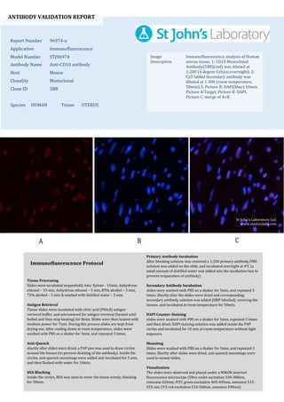 ANTIBODY VALIDATION REPORT
Report Number 96974-a
Application Immunofluorescence
Model Number STJ96974
Antibody Name Anti-CD10 antibody
Host Mouse
Clonality Monoclonal
Clone ID 5B8
Species HUMAN Tissue UTERUS
Image
Description
Immunofluorescence analysis of Human
uterus tissue. 1: CD10 Monoclonal
Antibody(5B8)(red) was diluted at
1:200 (4 degree Celsius,overnight). 2:
Cy3 labled Secondary antibody was
diluted at 1:300 (room temperature,
50min).3: Picture B: DAPI(blue) 10min.
Picture A:Target. Picture B: DAPI.
Picture C: merge of A+B.
Primary Antibody Incubation
After blocking solution was removed a 1:200 primary antibody/PBS
solution was added on the slide, and incubated overnight at 4°C (a
small amount of distilled water was added into the incubation box to
prevent evaporation of antibody).
Secondary Antibody Incubation
slides were washed with PBS on a shaker for 5min, and repeated 3
times. Shortly after the slides were dried and corresponding
secondary antibody solution was added (HRP labelled), covering the
tissues, and incubated at room temperature for 50min.
DAPI Counter-Staining
slides were washed with PBS on a shaker for 5min, repeated 3 times
and then dried. DAPI staining solution was added inside the PAP
circles and incubated for 10 min at room temperature without light
exposure.
Mounting
Slides were washed with PBS on a shaker for 5min, and repeated 3
times. Shortly after slides were dried, anti-quench mountings were
used to mount slides.
Visualization
The slides were observed and placed under a NIKON inverted
fluorescence microscope (Ultra violet excitation 330-380nm,
emission 420nm; FITC green excitation 465-495nm, emission 515-
555 nm; CY3 red excitation 510-560nm, emission 590nm)
Immunofluorescence Protocol
Tissue Processing
Slides were incubated sequentially into: Xylene - 15min, Anhydrous
ethanol – 15 min, Anhydrous ethanol – 5 min, 85% alcohol – 5 min,
75% alcohol – 5 min & washed with distilled water – 5 min.
Antigen Retrieval
Tissue slides were incubated with citric acid (PH6.0) antigen
retrieval buffer, and microwaved for antigen retrieval (heated until
boiled and then stop heating) for 8min. Slides were then heated with
medium power for 7min. During this process slides are kept from
drying out. After cooling down at room temperature, slides were
washed with PBS on a shaker for 5min, and repeated 3 times.
Anti-Quench
shortly after slides were dried, a PAP pen was used to draw circles
around the tissues (to prevent draining of the antibody). Inside the
circles, anti-quench mountings were added and incubated for 5 min,
and then flushed with water for 10min.
BSA Blocking
Inside the circles, BSA was used to cover the tissue evenly, blocking
for 30min.
St John's Laboratory Ltd.
www.stjohnslabs.com
 
