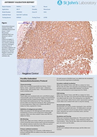 Figure:
Immunohistochemical
analysis of paraffin
embedded Human liver
tissue. 1: CK17
Monoclonal
Antibody(10A1) was
diluted at 1:200 (4
degree
Celsius,overnight). 2:
Sodium citrate pH 6.0
was used for antibody
retrieval (>98 degree
Celsius,20min). 3:
Secondary antibody was
diluted at 1:200 (room
temperature, 30min).
Negative control was
used by secondary
antibody only.
Report Number 96983-a Host Mouse
Application IHC-P Clonality Monoclonal
Model Number STJ96983 Clone ID 10A1
Antibody Name Anti-CK17 antibody
Testing Species HUMAN Testing Tissue LIVER
ANTIBODY VALIDATION REPORT
b. (A small amount of distilled water was added into the incubation
box to prevent evaporation of antibody).
41. Secondary antibody incubation
a. Slides were washed 3 times, with PBS on a shaker for 5min.
Shortly after the slides were dried the corresponding secondary
antibody solution was added (HRP labelled), covering the
tissues, and incubated at room temperature for 30min.
b.
42. DAB staining
a. Slides were washed 3 times, with PBS on a shaker for 5min.
b. Shortly after, the slides were dried and fresh DAB staining buffer
was added inside the circles. The staining time was adjusted
under a microscope. Yellow-brown colour represented a positive
result. Slides were washed with water to stop the staining.
c.
43. Haematoxylin staining
a. Haematoxylin was used to counter-staining for 1min, and then
the slides were washed with water. 1% Hydrochloric acid and
alcohol was added for several seconds and then washed with
water. Ammonia was used to reveal blue colour, and then
flushed with water.
b.
44. Desolation and Clearing
i. Slides were incubated sequentially into: 75% alcohol 5min, 85%
alcohol 5min, Anhydrous ethanol - 5min, Anhydrous ethanol -
5min & Xylene - 5min. Shortly after slides were dried and neutral
gum was used to seal the slides.
ii.
45. Visualization
a. Results were validated with microscope, and the slides were
scanned.
Paraffin-Embedded
Immunohistochemistry Protocol
35.
36. Tissue processing
a. Slides were incubated sequentially into Xylene; 15min –
Xylene, 15min - Anhydrous ethanol, 5min - Anhydrous
ethanol, 5min - 85% alcohol, 5min - 75% alcohol & 5min –
wash in distilled water.
b.
37. Antigen retrieval
a. Tissue slides were incubated with citric acid (PH6.0) antigen
retrieval buffer and microwaved for antigen retrieval (heated
until boiled and then stopped heating) for 8min. Slides were
then heated with medium power for 7min. During this
process slides were kept from drying out. After cooling down
at room temperature, slides were washed with PBS on
shaker for 5min, repeated for 3 times.
b.
38. Inhibition of endogenous peroxidase
a. Slides were placed in 3% Hydrogen peroxide solution, and
incubated for 10 min at room temperature without light
exposure. Slides were then washed 3 times with PBS on a
shaker for 5mins.
b.
39. BSA Blocking
a. Shortly after slides were dried, a PAP pen was used to draw
circles around the tissue sections (and to prevent draining of
the antibody solution). Inside the circles, BSA was used to
cover the tissue evenly, blocking for 30min.
b.
40. Primary antibody incubation
After blocking solution was removed a 1:200 solution of
primary antibody/PBS was added on the slide, and incubated
overnight at 4°C.
St John's Laboratory Ltd.
www.stjohnslabs.com
 