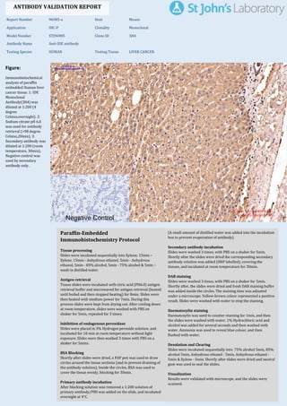Figure:
Immunohistochemical
analysis of paraffin
embedded Human liver
cancer tissue. 1: IDE
Monoclonal
Antibody(3H4) was
diluted at 1:200 (4
degree
Celsius,overnight). 2:
Sodium citrate pH 6.0
was used for antibody
retrieval (>98 degree
Celsius,20min). 3:
Secondary antibody was
diluted at 1:200 (room
temperature, 30min).
Negative control was
used by secondary
antibody only.
Report Number 96985-a Host Mouse
Application IHC-P Clonality Monoclonal
Model Number STJ96985 Clone ID 3H4
Antibody Name Anti-IDE antibody
Testing Species HUMAN Testing Tissue LIVER CANCER
ANTIBODY VALIDATION REPORT
a. (A small amount of distilled water was added into the incubation
box to prevent evaporation of antibody).
30. Secondary antibody incubation
a. Slides were washed 3 times, with PBS on a shaker for 5min.
Shortly after the slides were dried the corresponding secondary
antibody solution was added (HRP labelled), covering the
tissues, and incubated at room temperature for 30min.
b.
31. DAB staining
a. Slides were washed 3 times, with PBS on a shaker for 5min.
b. Shortly after, the slides were dried and fresh DAB staining buffer
was added inside the circles. The staining time was adjusted
under a microscope. Yellow-brown colour represented a positive
result. Slides were washed with water to stop the staining.
c.
32. Haematoxylin staining
a. Haematoxylin was used to counter-staining for 1min, and then
the slides were washed with water. 1% Hydrochloric acid and
alcohol was added for several seconds and then washed with
water. Ammonia was used to reveal blue colour, and then
flushed with water.
b.
33. Desolation and Clearing
i. Slides were incubated sequentially into: 75% alcohol 5min, 85%
alcohol 5min, Anhydrous ethanol - 5min, Anhydrous ethanol -
5min & Xylene - 5min. Shortly after slides were dried and neutral
gum was used to seal the slides.
ii.
34. Visualization
a. Results were validated with microscope, and the slides were
scanned.
Paraffin-Embedded
Immunohistochemistry Protocol
24.
25. Tissue processing
a. Slides were incubated sequentially into Xylene; 15min –
Xylene, 15min - Anhydrous ethanol, 5min - Anhydrous
ethanol, 5min - 85% alcohol, 5min - 75% alcohol & 5min –
wash in distilled water.
b.
26. Antigen retrieval
a. Tissue slides were incubated with citric acid (PH6.0) antigen
retrieval buffer and microwaved for antigen retrieval (heated
until boiled and then stopped heating) for 8min. Slides were
then heated with medium power for 7min. During this
process slides were kept from drying out. After cooling down
at room temperature, slides were washed with PBS on
shaker for 5min, repeated for 3 times.
b.
27. Inhibition of endogenous peroxidase
a. Slides were placed in 3% Hydrogen peroxide solution, and
incubated for 10 min at room temperature without light
exposure. Slides were then washed 3 times with PBS on a
shaker for 5mins.
b.
28. BSA Blocking
a. Shortly after slides were dried, a PAP pen was used to draw
circles around the tissue sections (and to prevent draining of
the antibody solution). Inside the circles, BSA was used to
cover the tissue evenly, blocking for 30min.
b.
29. Primary antibody incubation
After blocking solution was removed a 1:200 solution of
primary antibody/PBS was added on the slide, and incubated
overnight at 4°C.
St John's Laboratory Ltd.
www.stjohnslabs.com
 