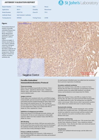 Figure:
Immunohistochemical
analysis of paraffin
embedded Human liver
tissue. 1: Cystatin C
Mouse Monoclonal
Antibody(7F11) was
diluted at 1:200 (4
degree
Celsius,overnight). 2:
Sodium citrate pH 6.0
was used for antibody
retrieval (>98 degree
Celsius,20min). 3:
Secondary antibody was
diluted at 1:200 (room
temperature, 30min).
Negative control was
used by secondary
antibody only.
Report Number 97732-a Host Mouse
Application IHC-P Clonality Monoclonal
Model Number STJ97732 Clone ID 7F11
Antibody Name Anti-Cystatin C antibody
Testing Species HUMAN Testing Tissue LIVER
ANTIBODY VALIDATION REPORT
a. (A small amount of distilled water was added into the incubation
box to prevent evaporation of antibody).
51. Secondary antibody incubation
a. Slides were washed 3 times, with PBS on a shaker for 5min.
Shortly after the slides were dried the corresponding secondary
antibody solution was added (HRP labelled), covering the
tissues, and incubated at room temperature for 30min.
b.
52. DAB staining
a. Slides were washed 3 times, with PBS on a shaker for 5min.
b. Shortly after, the slides were dried and fresh DAB staining buffer
was added inside the circles. The staining time was adjusted
under a microscope. Yellow-brown colour represented a positive
result. Slides were washed with water to stop the staining.
c.
53. Haematoxylin staining
a. Haematoxylin was used to counter-staining for 1min, and then
the slides were washed with water. 1% Hydrochloric acid and
alcohol was added for several seconds and then washed with
water. Ammonia was used to reveal blue colour, and then
flushed with water.
b.
54. Desolation and Clearing
i. Slides were incubated sequentially into: 75% alcohol 5min, 85%
alcohol 5min, Anhydrous ethanol - 5min, Anhydrous ethanol -
5min & Xylene - 5min. Shortly after slides were dried and neutral
gum was used to seal the slides.
ii.
55. Visualization
a. Results were validated with microscope, and the slides were
scanned.
Paraffin-Embedded
Immunohistochemistry Protocol
45.
46. Tissue processing
a. Slides were incubated sequentially into Xylene; 15min –
Xylene, 15min - Anhydrous ethanol, 5min - Anhydrous
ethanol, 5min - 85% alcohol, 5min - 75% alcohol & 5min –
wash in distilled water.
b.
47. Antigen retrieval
a. Tissue slides were incubated with citric acid (PH6.0) antigen
retrieval buffer and microwaved for antigen retrieval (heated
until boiled and then stopped heating) for 8min. Slides were
then heated with medium power for 7min. During this
process slides were kept from drying out. After cooling down
at room temperature, slides were washed with PBS on
shaker for 5min, repeated for 3 times.
b.
48. Inhibition of endogenous peroxidase
a. Slides were placed in 3% Hydrogen peroxide solution, and
incubated for 10 min at room temperature without light
exposure. Slides were then washed 3 times with PBS on a
shaker for 5mins.
b.
49. BSA Blocking
a. Shortly after slides were dried, a PAP pen was used to draw
circles around the tissue sections (and to prevent draining of
the antibody solution). Inside the circles, BSA was used to
cover the tissue evenly, blocking for 30min.
b.
50. Primary antibody incubation
After blocking solution was removed a 1:200 solution of
primary antibody/PBS was added on the slide, and incubated
overnight at 4°C.
St John's Laboratory Ltd.
www.stjohnslabs.com
 