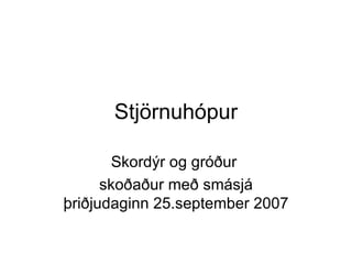 Stjörnuhópur Skordýr og gróður  skoðaður með smásjá þriðjudaginn 25.september 2007 