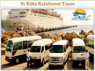 St kitts rainforest tours