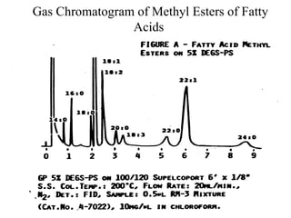 Gas Chromatogram of Methyl Esters of Fatty
                Acids
 