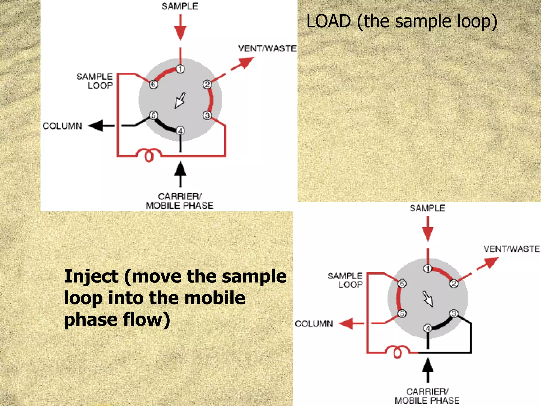 LOAD (the sample loop)




Inject (move the sample
loop into the mobile
phase flow)
 