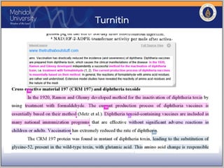Turnitin
 