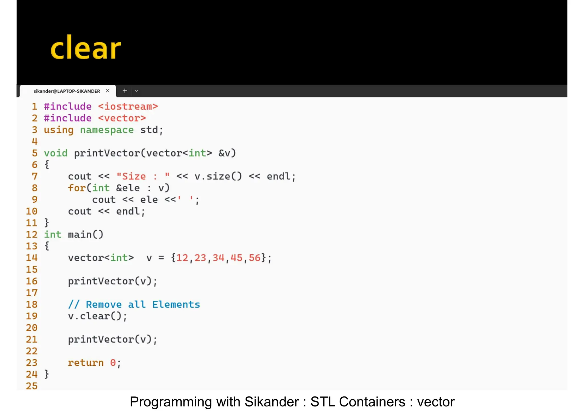 Programming with Sikander : STL Containers : vector 