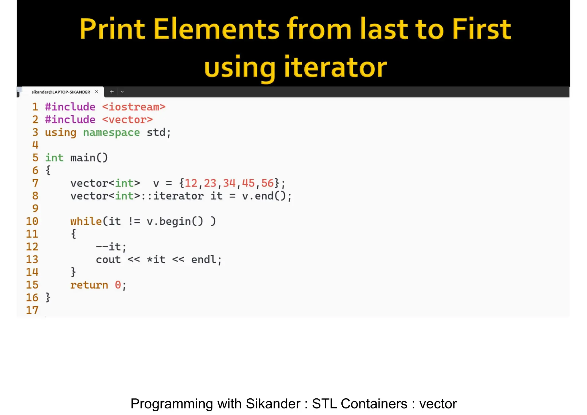 Programming with Sikander : STL Containers : vector 