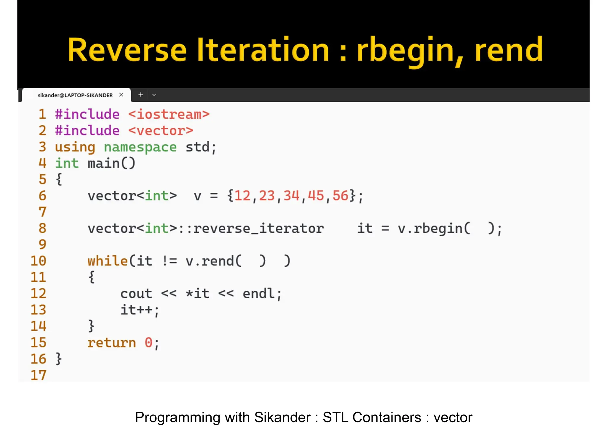 Programming with Sikander : STL Containers : vector 