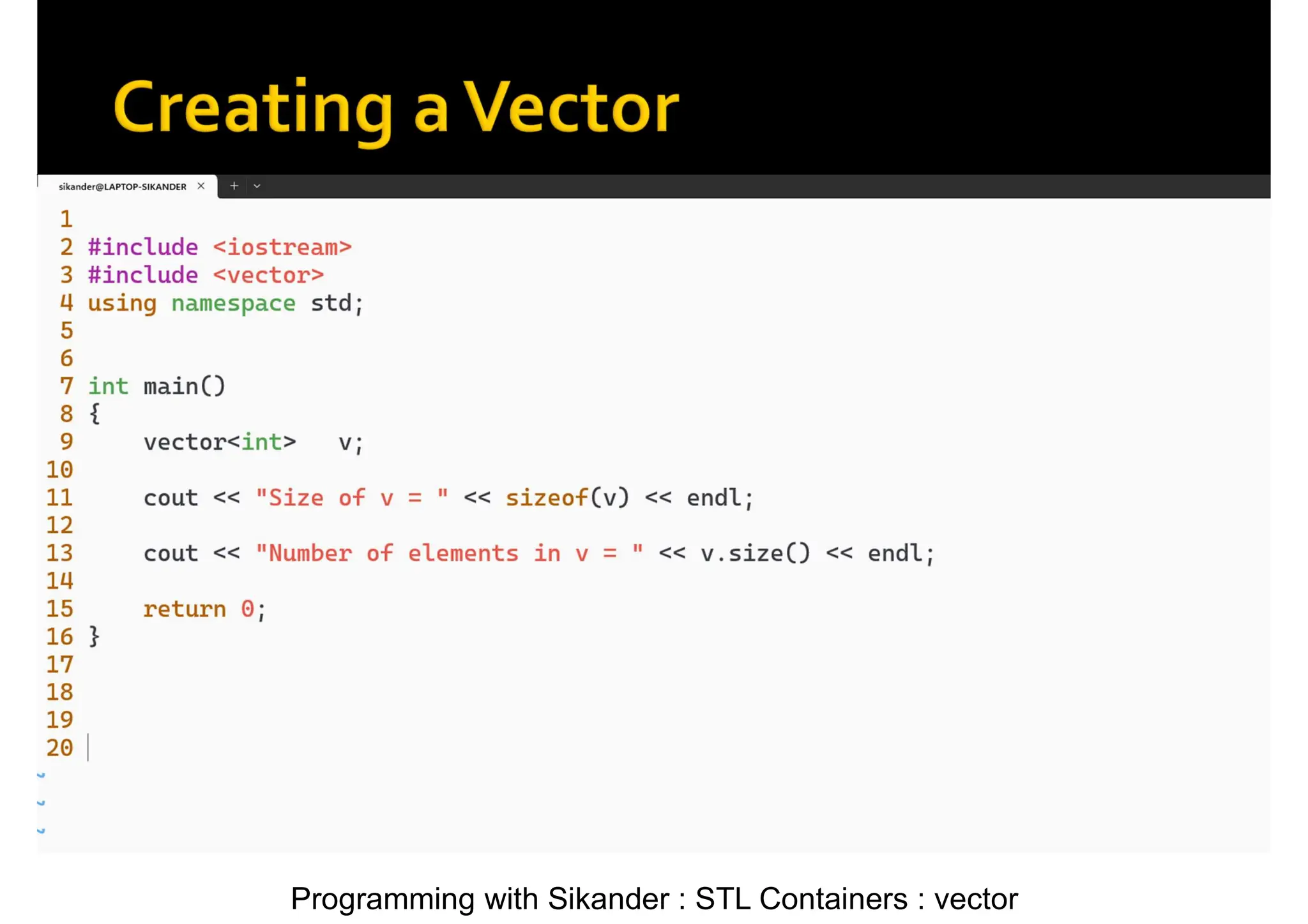 Programming with Sikander : STL Containers : vector 
