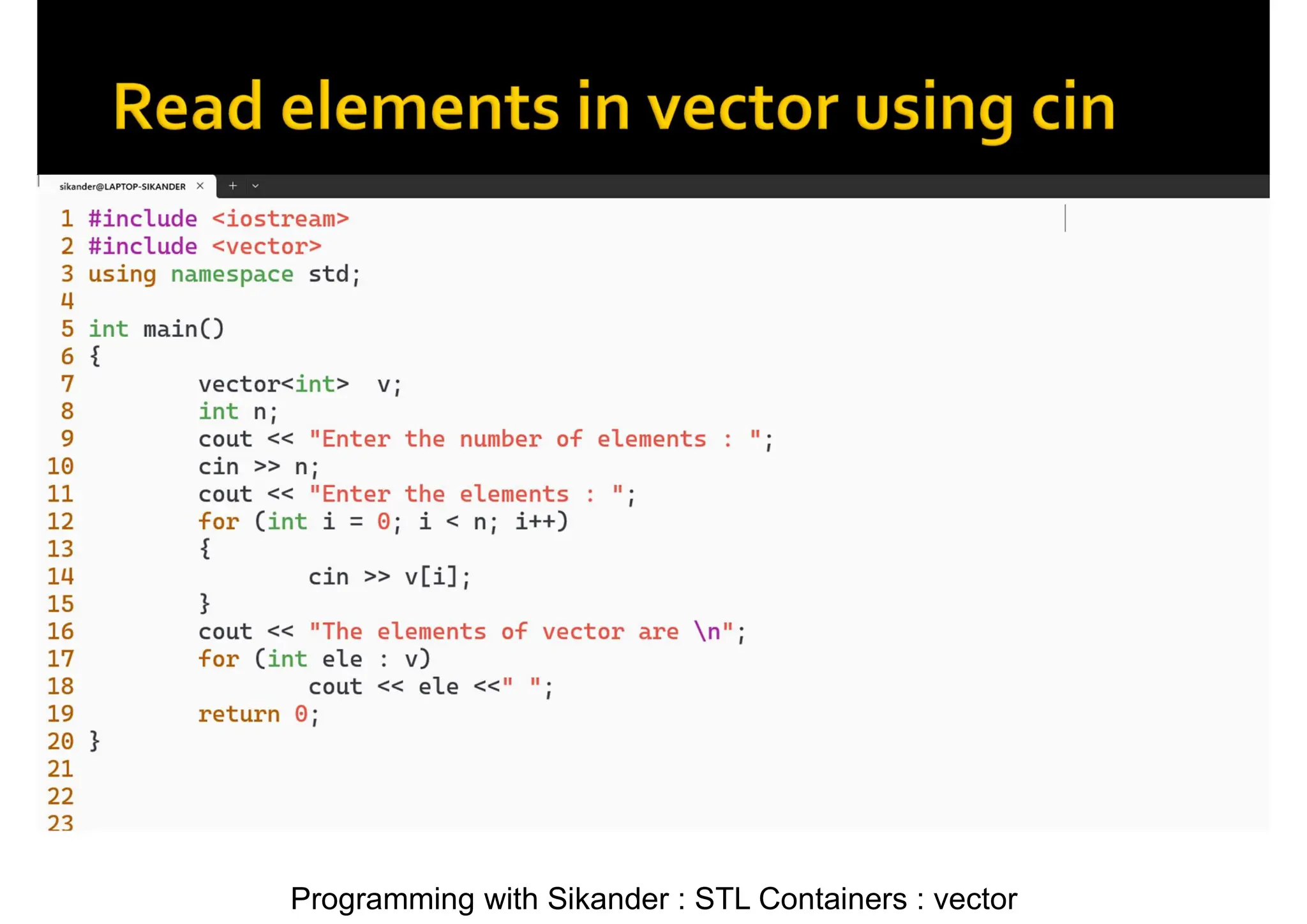 Programming with Sikander : STL Containers : vector 