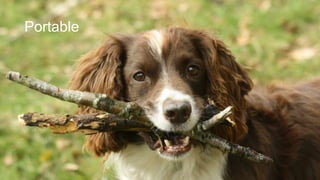 Portable

 