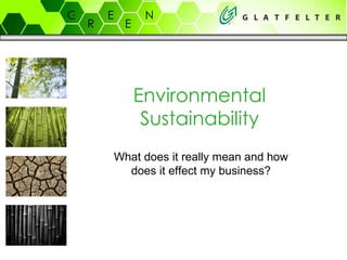 Environmental Sustainability What does it really mean and how does it effect my business? 