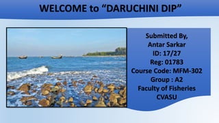 WELCOME to “DARUCHINI DIP”
Submitted By,
Antar Sarkar
ID: 17/27
Reg: 01783
Course Code: MFM-302
Group : A2
Faculty of Fisheries
CVASU
 