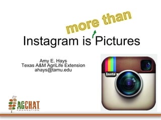 Instagram is Pictures 
Amy E. Hays 
Texas A&M AgriLife Extension 
ahays@tamu.edu 
 