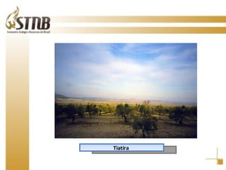 Tiatíra  
