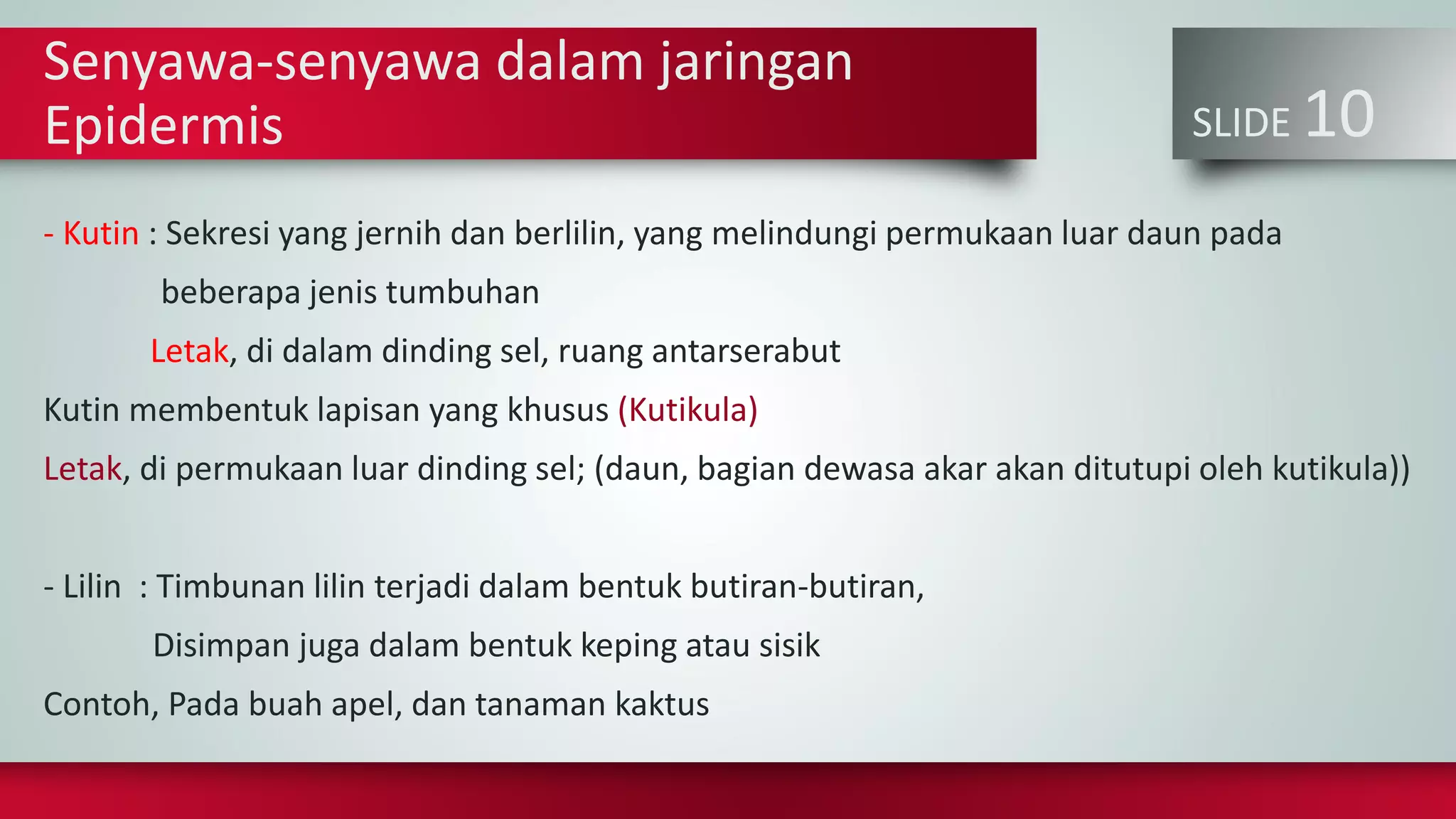 SLIDE 10
Senyawa-senyawa dalam jaringan
Epidermis
- Kutin : Sekresi yang jernih dan berlilin, yang melindungi permukaan luar daun pada
beberapa jenis tumbuhan
Letak, di dalam dinding sel, ruang antarserabut
Kutin membentuk lapisan yang khusus (Kutikula)
Letak, di permukaan luar dinding sel; (daun, bagian dewasa akar akan ditutupi oleh kutikula))
- Lilin : Timbunan lilin terjadi dalam bentuk butiran-butiran,
Disimpan juga dalam bentuk keping atau sisik
Contoh, Pada buah apel, dan tanaman kaktus
 