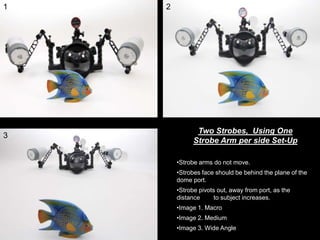 •Strobe arms do not move.
•Strobes face should be behind the plane of the
dome port.
•Strobe pivots out, away from port, as the
distance to subject increases.
•Image 1. Macro
•Image 2. Medium
•Image 3. Wide Angle
1 2
3
Two Strobes, Using One
Strobe Arm per side Set-Up
 