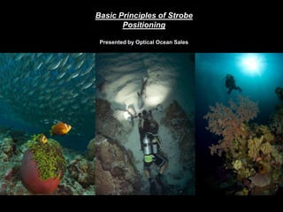 Basic Principles of Strobe
Positioning
Presented by Optical Ocean Sales
 