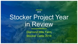 January
2019
Stocker Project Year
in Review
Diamond Hills Farm
Stocker Cattle 2018
 