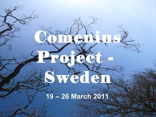 Comenius Project -  Sweden 19 – 26 March 2011 
