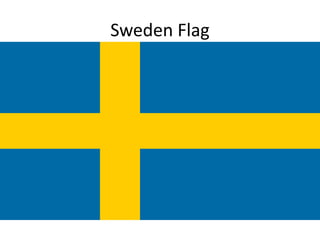 Sweden Flag
 
