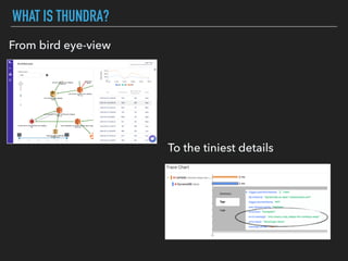 WHAT IS THUNDRA?
From bird eye-view
To the tiniest details
 
