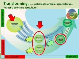 Transforming: ….. sustainable, organic, agroecological,
              resilient, equitable agriculture
High productivity
  Low productivity




                     Un-sustainable                            Sustainable
 
