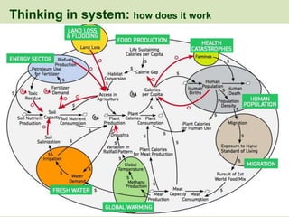 Thinking in system: how does it work
 