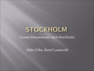 Unsere Klassenreise nach Stockholm Aleks Uibo, Karel Laaneväli 