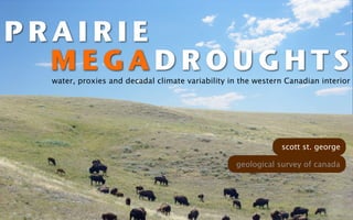 PRAIRIE
  MEGADROUGHTS
 water, proxies and decadal climate variability in the western Canadian interior




                                                             scott st. george

                                                 geological survey of canada
 
