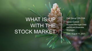 WHAT IS UP
WITH THE
STOCK MARKET
Paul Young CPA CGA
Senior Custom
Success Manager Data
and AI and Business
Strategist
Date: August 11, 2023
 
