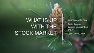 WHAT IS UP
WITH THE
STOCK MARKET
Paul Young CPA CGA
Senior Custom
Success Manager Data
and AI
Date: July 15, 2023
 