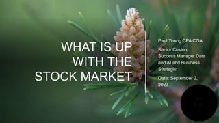 WHAT IS UP
WITH THE
STOCK MARKET
Paul Young CPA CGA
Senior Custom
Success Manager Data
and AI and Business
Strategist
Date: September 2,
2023
 