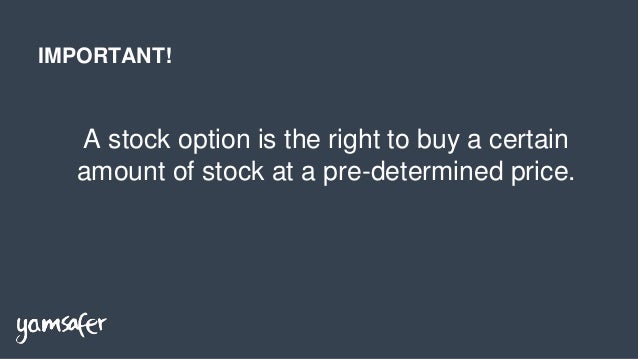 How many stock options startup