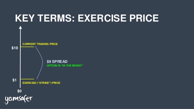 Exercising stock options startup