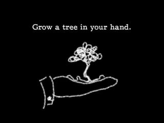 Stock photography success