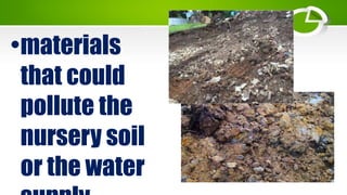 •materials
that could
pollute the
nursery soil
or the water
 