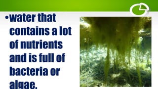 •water that
contains a lot
of nutrients
and is full of
bacteria or
 