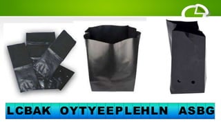 LCBAK OYTYEEPLEHLN ASBG
 