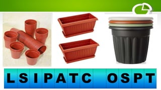 L S I P A T C O S P T
 