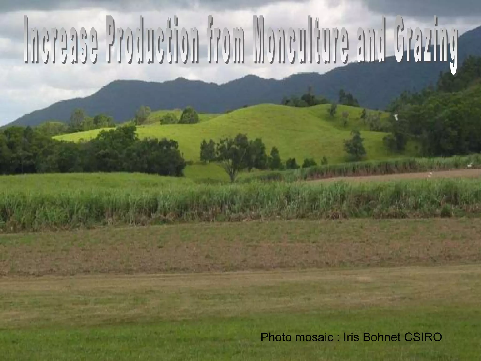 Photo mosaic : Iris Bohnet CSIRO

 